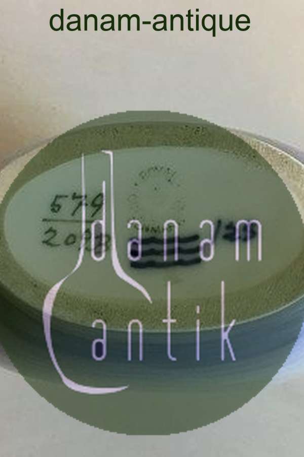 Royal Copenhagen Art Nouveau vase No 579/209B PMN