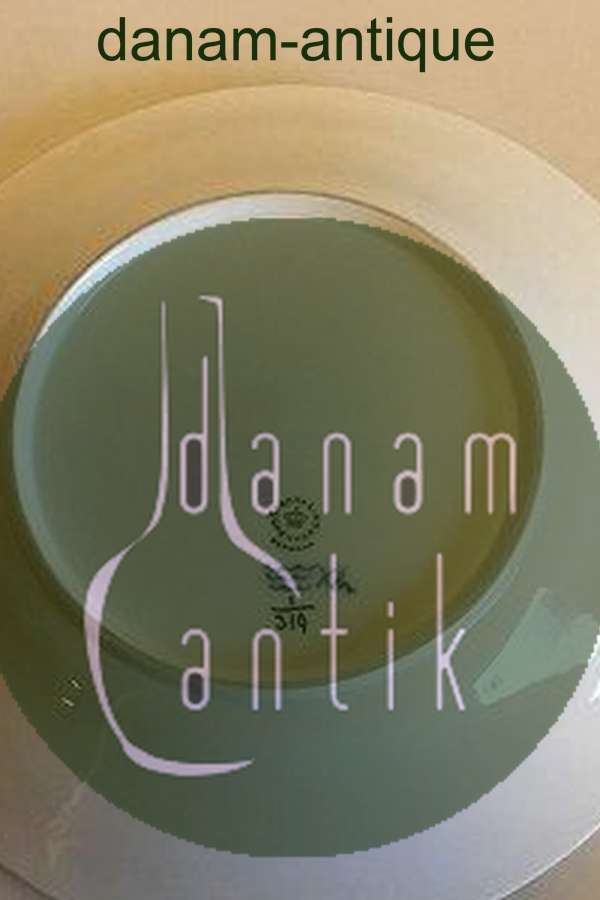 Royal Copenhagen Musselmalet Riflet Kagefad No 319