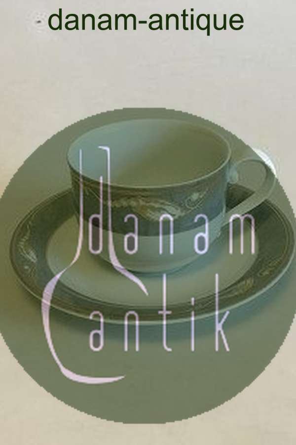 Royal Copenhagen Grå Magnolia Kaffekop med underkop No 072+073