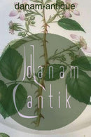 Royal Copenhagen Flora Danica Rundt Fad No 3524 (Pre 1923)