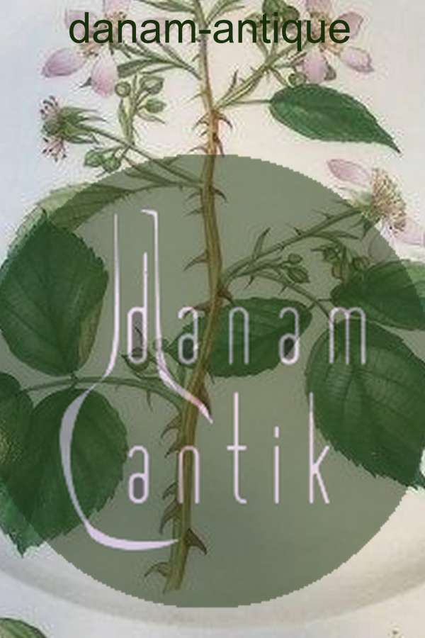 Royal Copenhagen Flora Danica Rundt Fad No 3524 (Pre 1923)