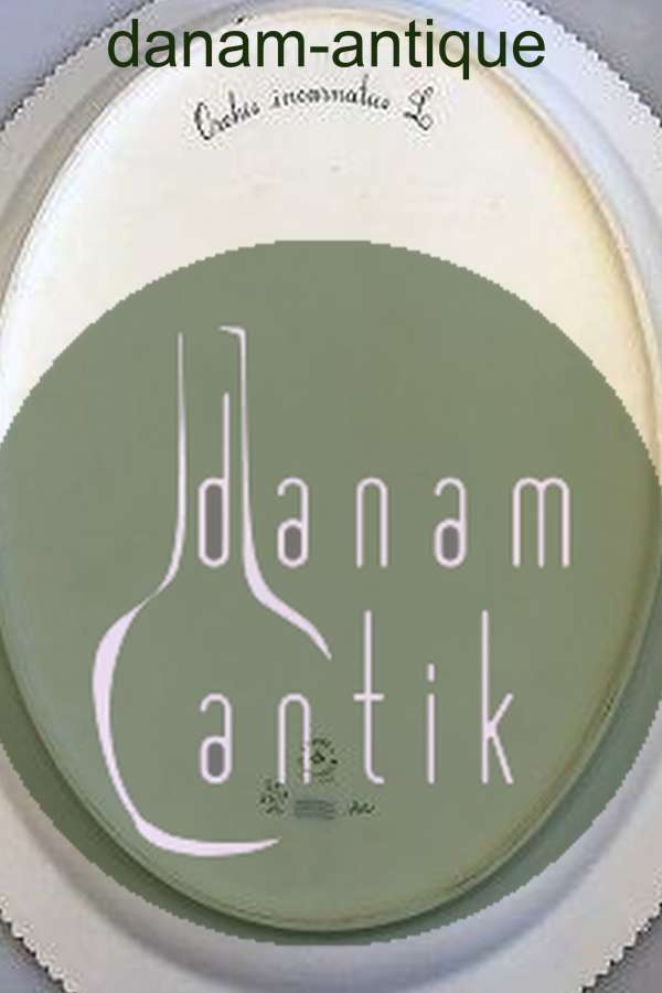 Royal Copenhagen Flora Danica Ovalt Serveringsfad No 20/3519