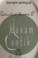 Royal Copenhagen Flora Danica Oval Serving Tray No 735/3516