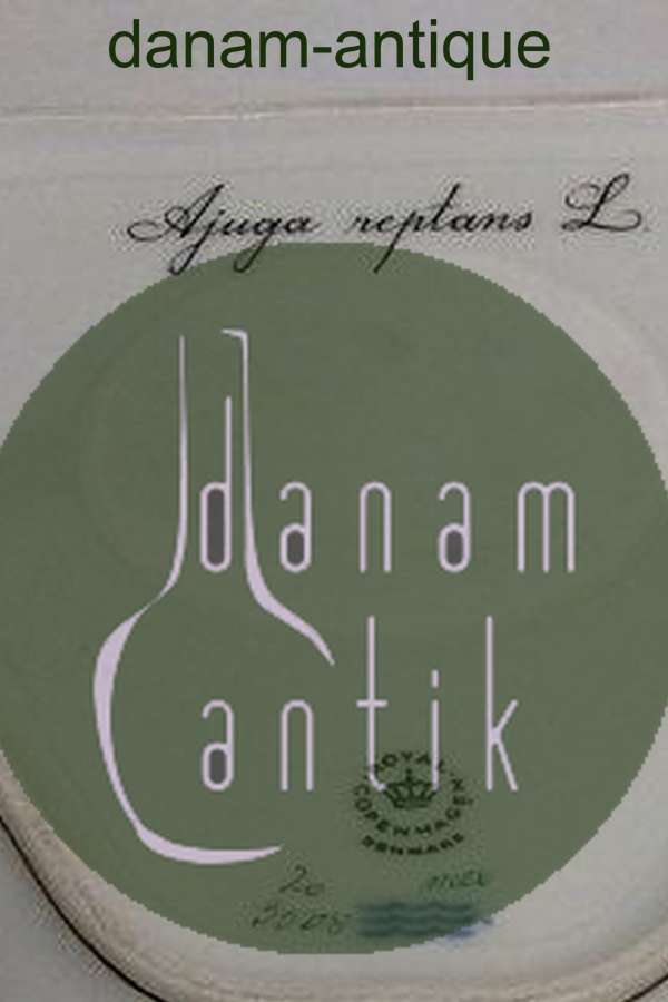 Royal Copenhagen Flora Danica 3 Kantet Skål No 3508