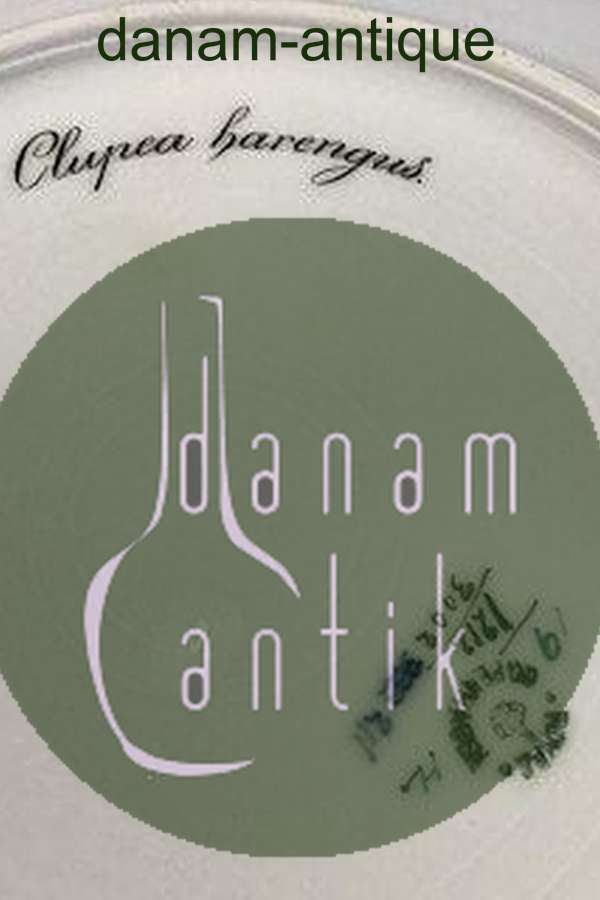 Royal Copenhagen Blå Fisketallerken med Guld No 1212/3002