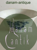 Royal Copenhagen Blue Flower Angular Bowl No 8568