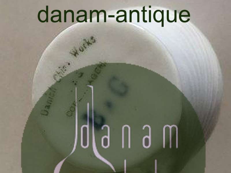 Bing & Grøndahl Hejre Stel Kaffe Kop uden guld