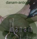 Bing & Grondahl Figur Kuckuck Nr. 1770