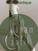 Bing & Grøndahl Figur Ruhåret engelsk foxterrier  No 1998