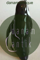 Bing & Grøndahl Figur Pingvin No 1822