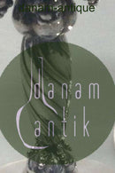 ジョージジェンセン スターリングシルバー ペア グレープバイン No 263 A