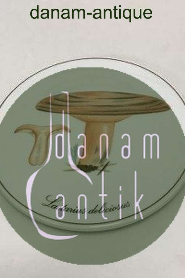 Bing & Grøndahl Svampeplatte No 3514/949