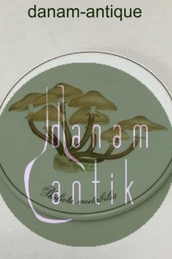 Bing & Grøndahl Svampeplatte No 3517/949