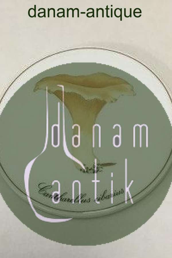 Bing & Grøndahl Svampeplatte 3513/949