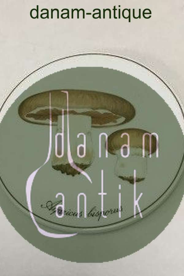 Bing & Grøndahl Svampeplatte No 3516/949