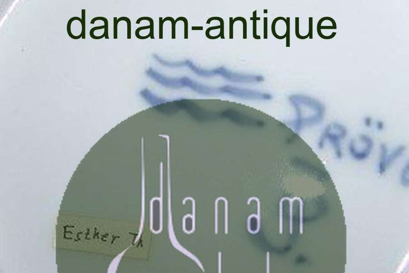 Royal Copenhagen Juleplatte 1910 Prøve Platte