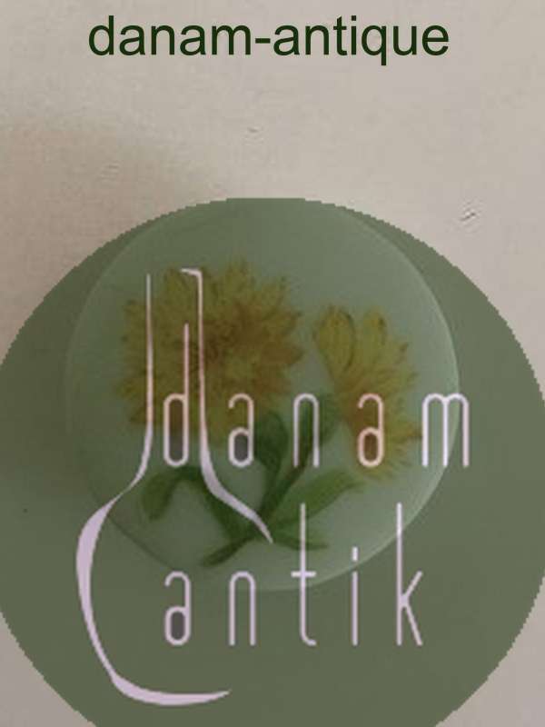 Royal Copenhagen Porcelænsknap med Håndmalet Blomstermotiv