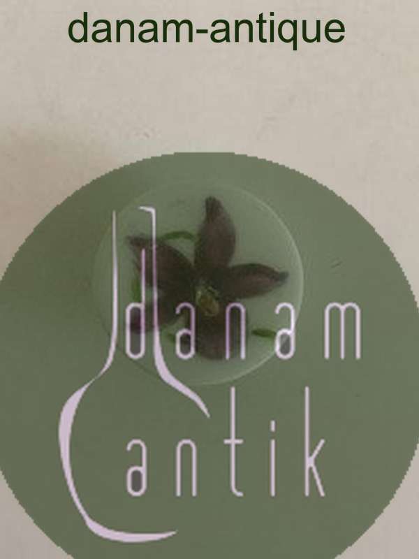 Royal Copenhagen Porcelænsknap med Håndmalet Blomstermotiv