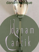 Georg Jensen Sterling Sølv Dronning Kompotske No 161