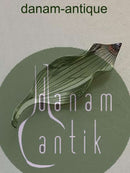 Anton Michelsen リーフ型ブローチ スターリングシルバー Gertrud Engelによるデザイン。