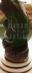 Bronze Abe på Elfenben Stand