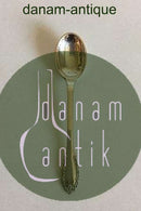 Evald Nielsen  Sølv No 17 Dessertske