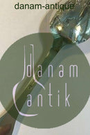 Evald Nielsen No 12 Sølv Potageske