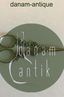 シルバーグレープシザーズ