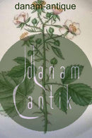 Royal Copenhagen Flora Danica Mittagsteller Nr. 20/3550