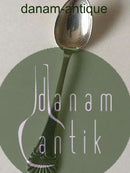 Palmet W & S Sørensen Teske / Kaffeske i Sølv