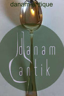 Sølv Dobbeltriflet Stor serveringsske