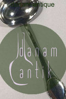 勋章银色调料勺