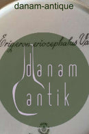 Royal Copenhagen Flora Danica Spisetallerken No 735/3549