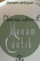 Royal Copenhagen Flora Danica Spisetallerken No 735/3549