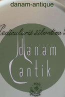 Royal Copenhagen Flora Danica Spisetallerken No 735/3549