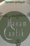 Royal Copenhagen Flora Danica Spisetallerken No 735/3549