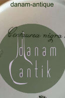 Royal Copenhagen Flora Danica Spisetallerken No 735/3549