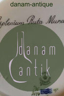 Royal Copenhagen Flora Danica Spisetallerken No 735/3549