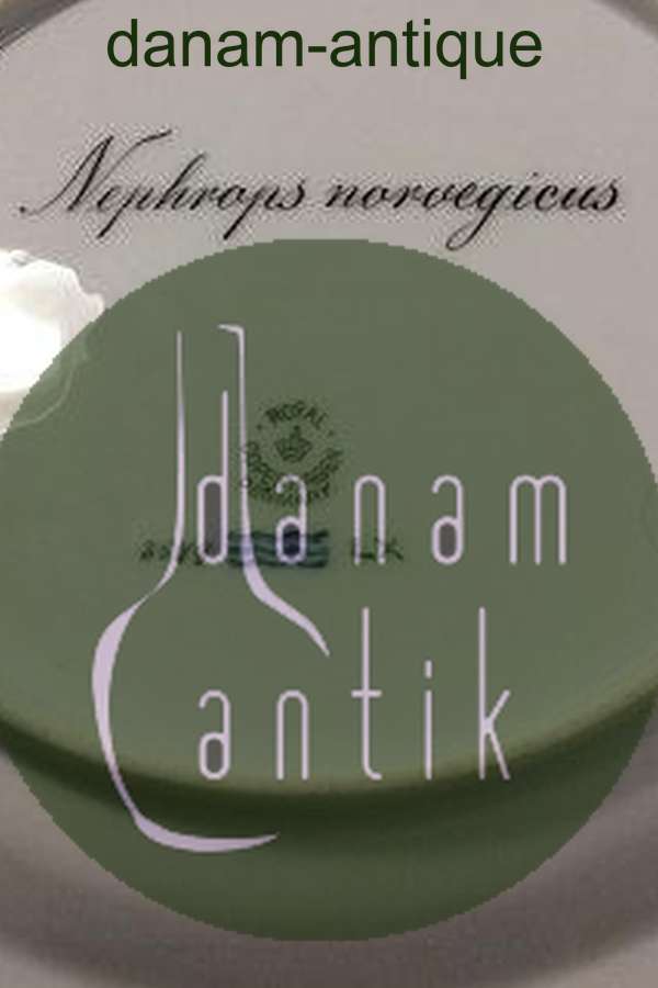 Royal Copenhagen Flora Danica Fisketallerken No 19/3549