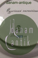 Royal Copenhagen Flora Danica Fisketallerken No 19/3549