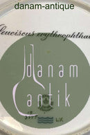 Royal Copenhagen Flora Danica Fish Plate No 19/3549