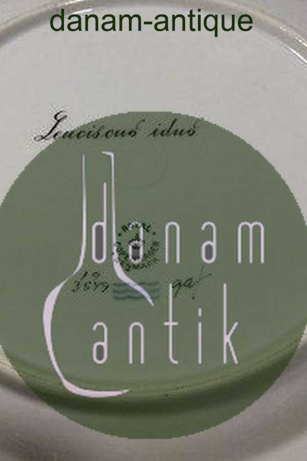 Royal Copenhagen Flora Danica Fisketallerken No 19/3549.