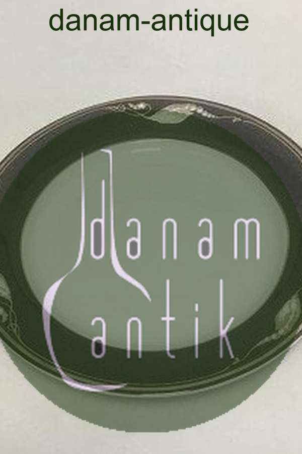 Royal Copenhagen Magnolia Sort tallerken no 619