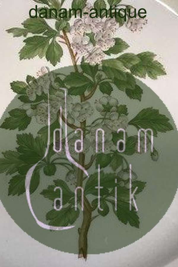 Royal Copenhagen Flora Danica Rundt Fad No 20/3524 (Pre 1923)