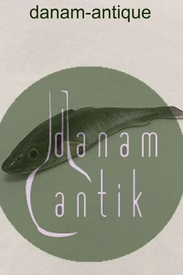 Royal Copenhagen Figur af Sardin No 459