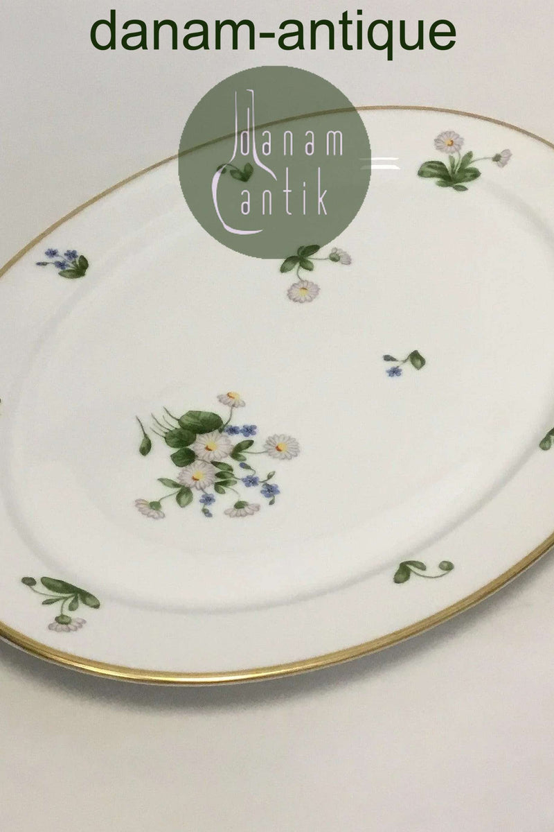 Royal Copenhagen Bellis og Følfod Ovalt fad No 9009