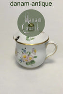 Royal Copenhagen Bellis og Følfod Cremekop med låg No 9166