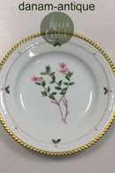 Royal Copenhagen Flora Danica heller Kuchenteller Nr. 735/3551