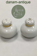 Royal Copenhagen Pattern Nr. 1222 Salt and Pepper Shakers No 9132