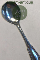 Georg Jensen Sterling Sølv Nordisk Isske No 076